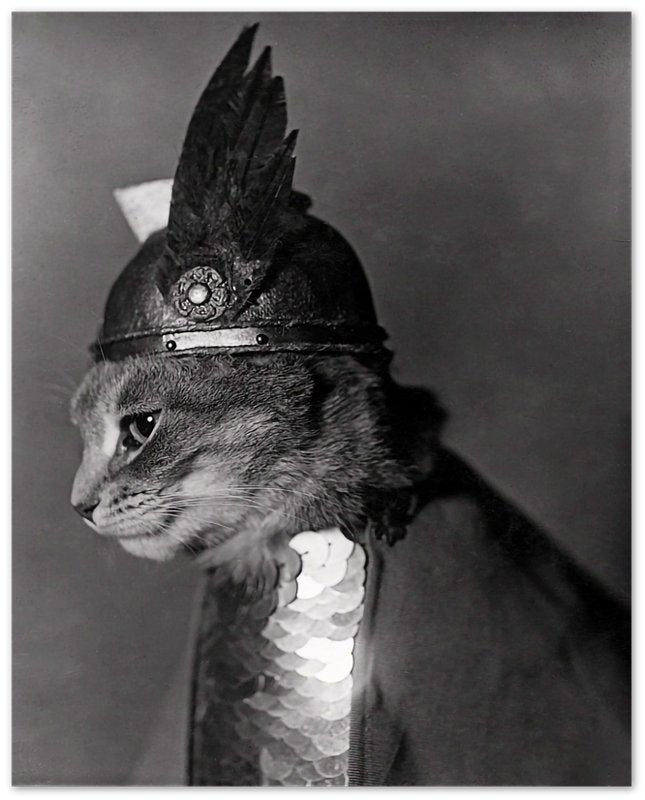 Vintage Cat Poster Cat In Viking Helmet 1936 - Vintage Cat As Brunhilde Print - WallArtPrints4U