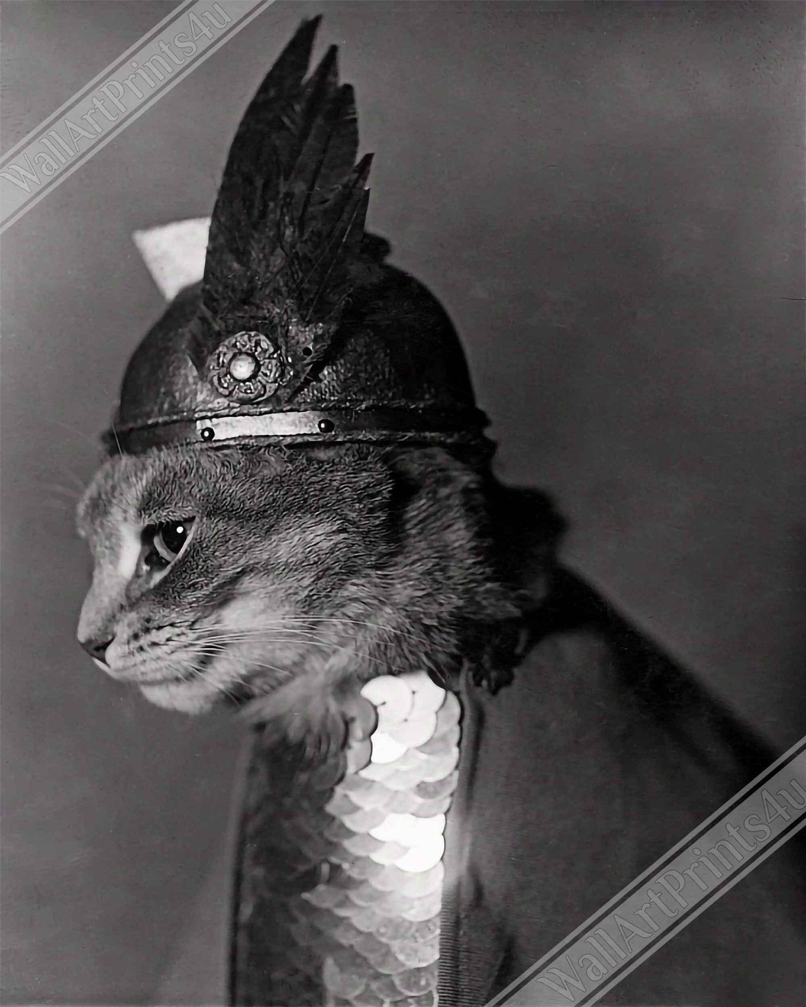Vintage Cat Poster Cat In Viking Helmet 1936 - Vintage Cat As Brunhilde Print - WallArtPrints4U