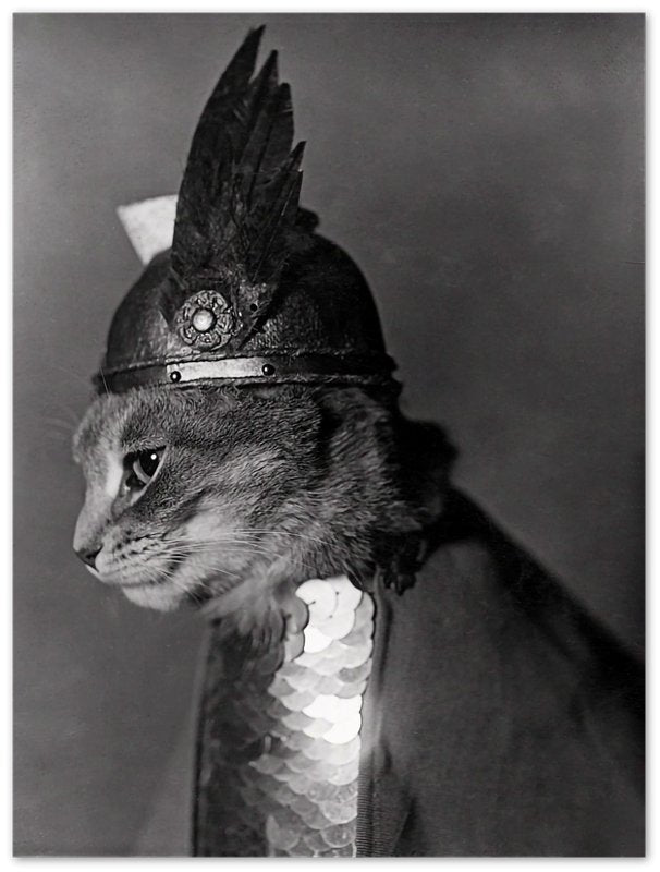 Vintage Cat Poster Cat In Viking Helmet 1936 - Vintage Cat As Brunhilde Print - WallArtPrints4U