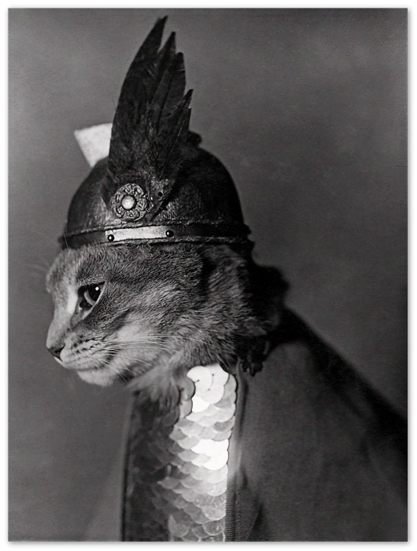 Vintage Cat Poster Cat In Viking Helmet 1936 - Vintage Cat As Brunhilde Print - WallArtPrints4U