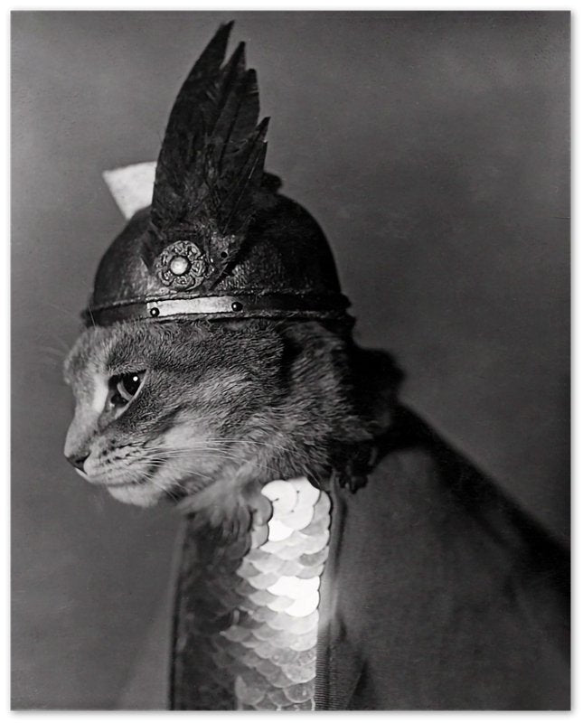 Vintage Cat Poster Cat In Viking Helmet 1936 - Vintage Cat As Brunhilde Print - WallArtPrints4U