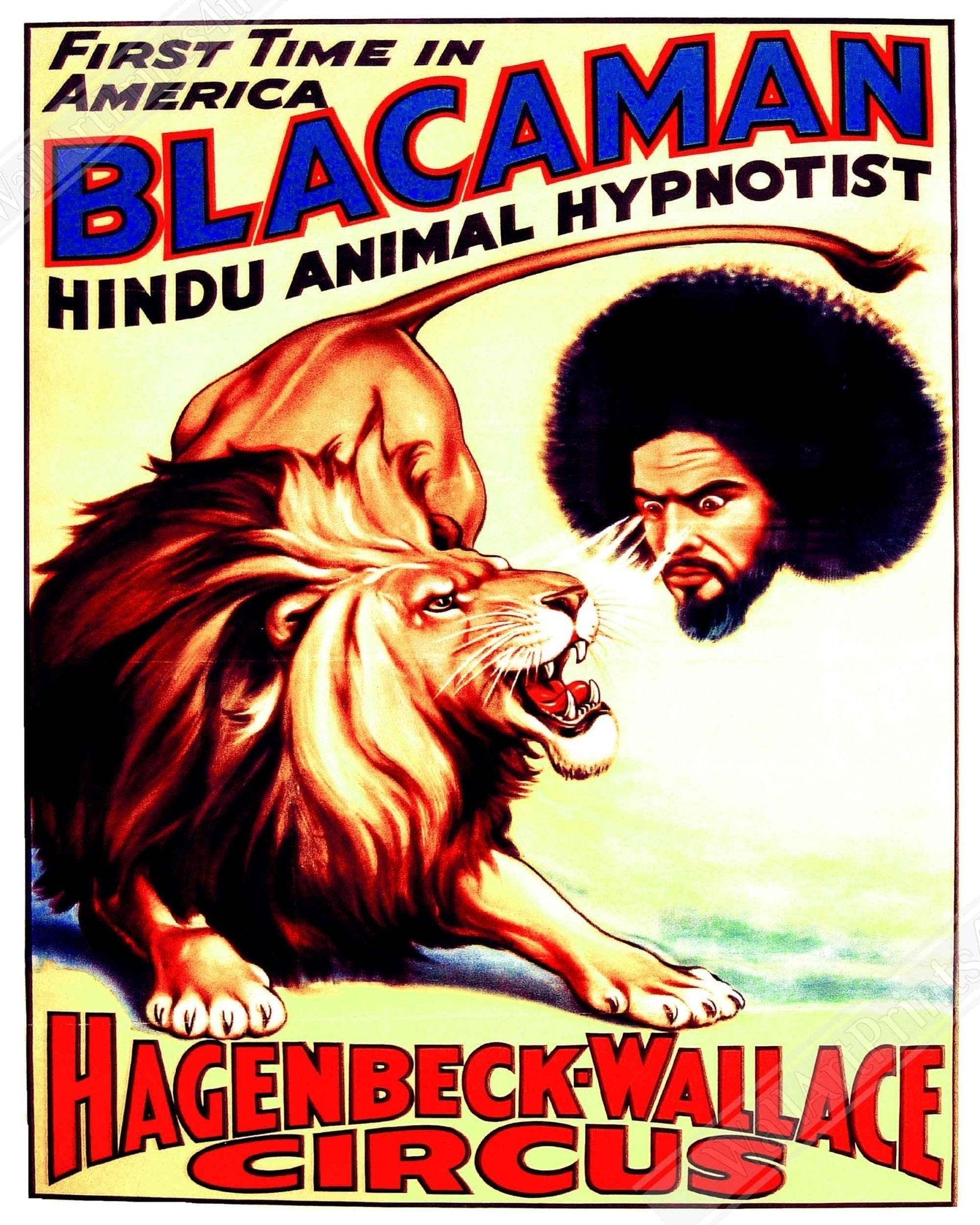 Vintage Circus Canvas, Hindu Animal Hypnotist, Blacaman Indian Fakir, Circa 1928, Old Circus Canvas. - WallArtPrints4U
