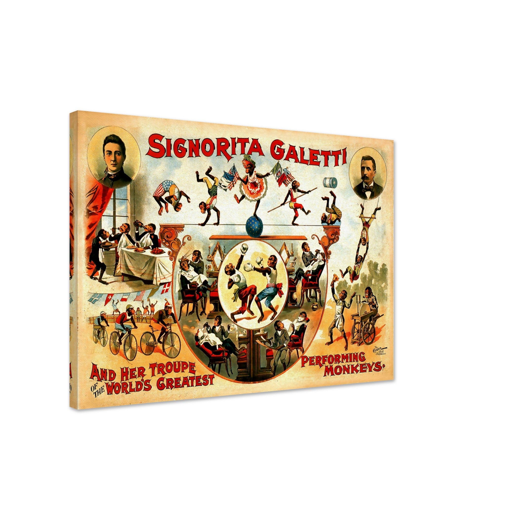 Vintage Circus Canvas, Performing Monkeys, Sigorita Galetti, Courier Company, Circa 1892. - WallArtPrints4U