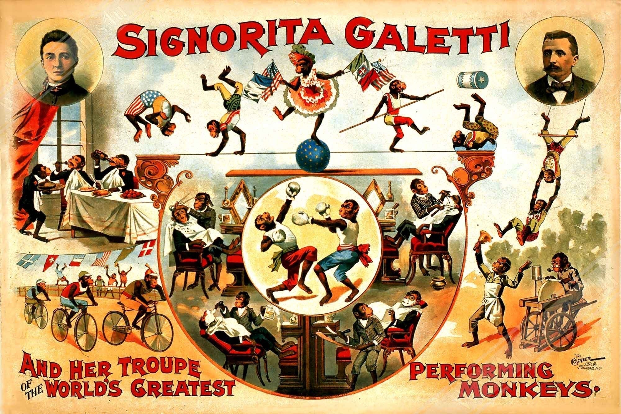 Vintage Circus Framed, Performing Monkeys, Sigorita Galetti, Courier Company, Circa 1892. - WallArtPrints4U