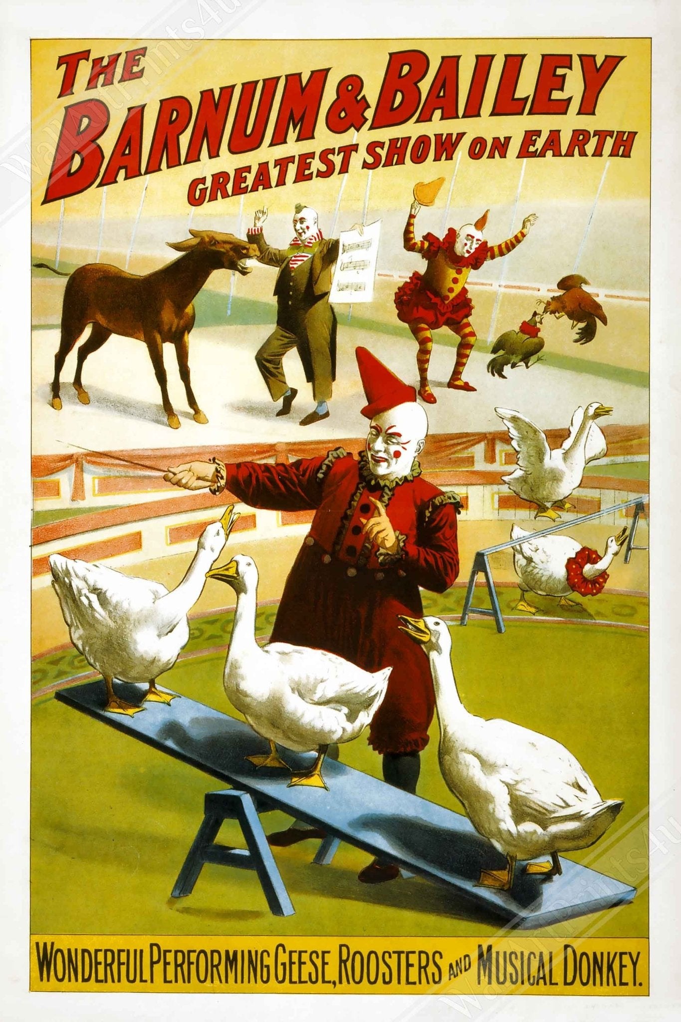 Vintage Circus Poster, Musical Donkey, Performing Geese, Barnum Bailey, Greatest Show On Earth - WallArtPrints4U