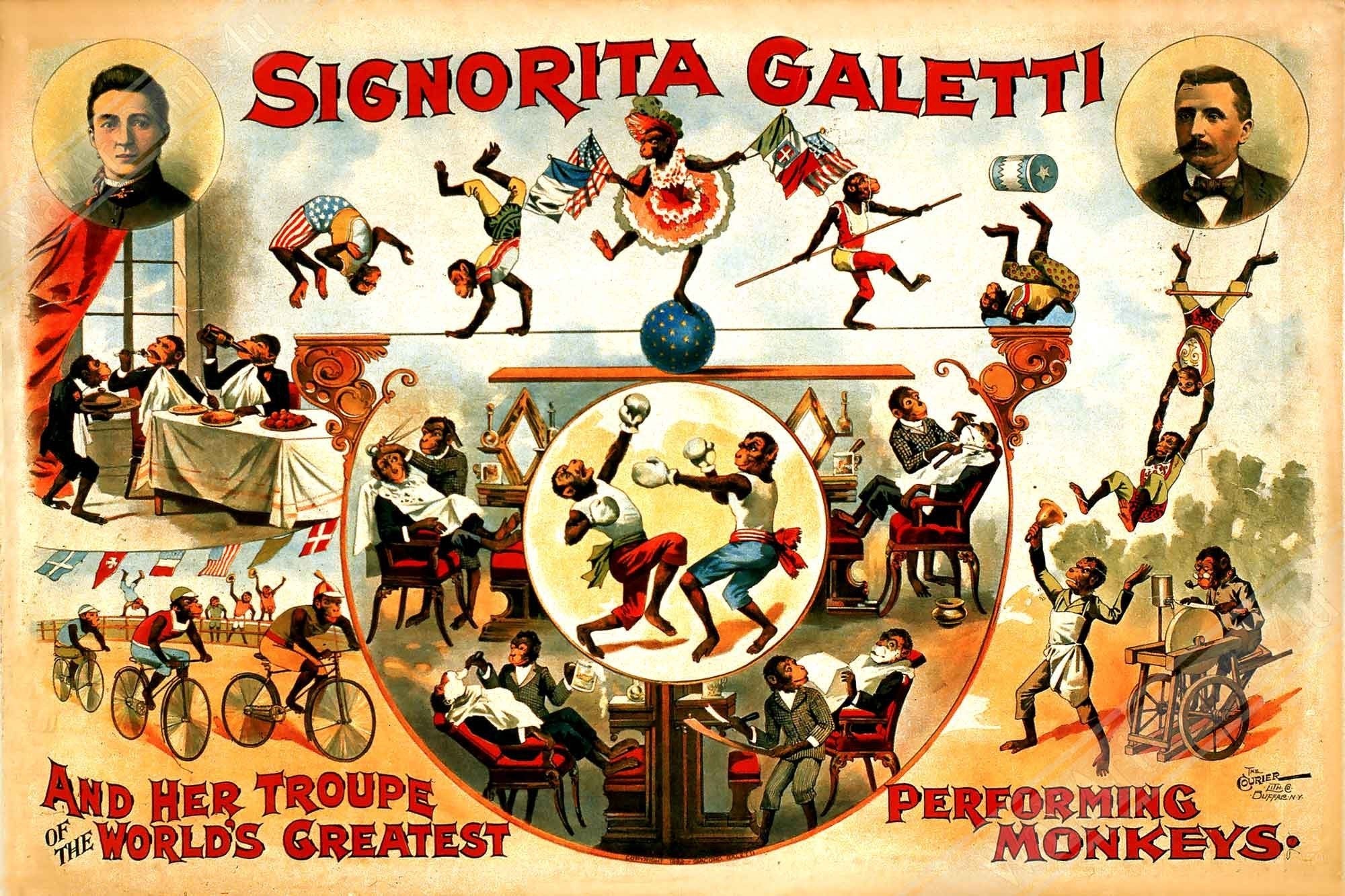 Vintage Circus Poster, Performing Monkeys, Sigorita Galetti, Courier Company, Circa 1892. - WallArtPrints4U