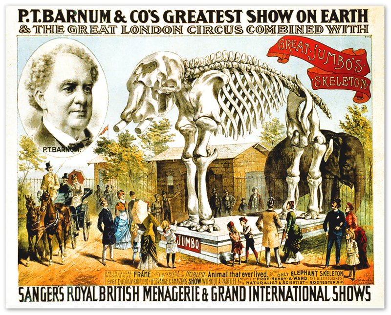 Vintage Circus Poster, Pt Barnum Greatest Show On Earth Poster, Real Poster From 1888, Greatest Showman Movie - WallArtPrints4U