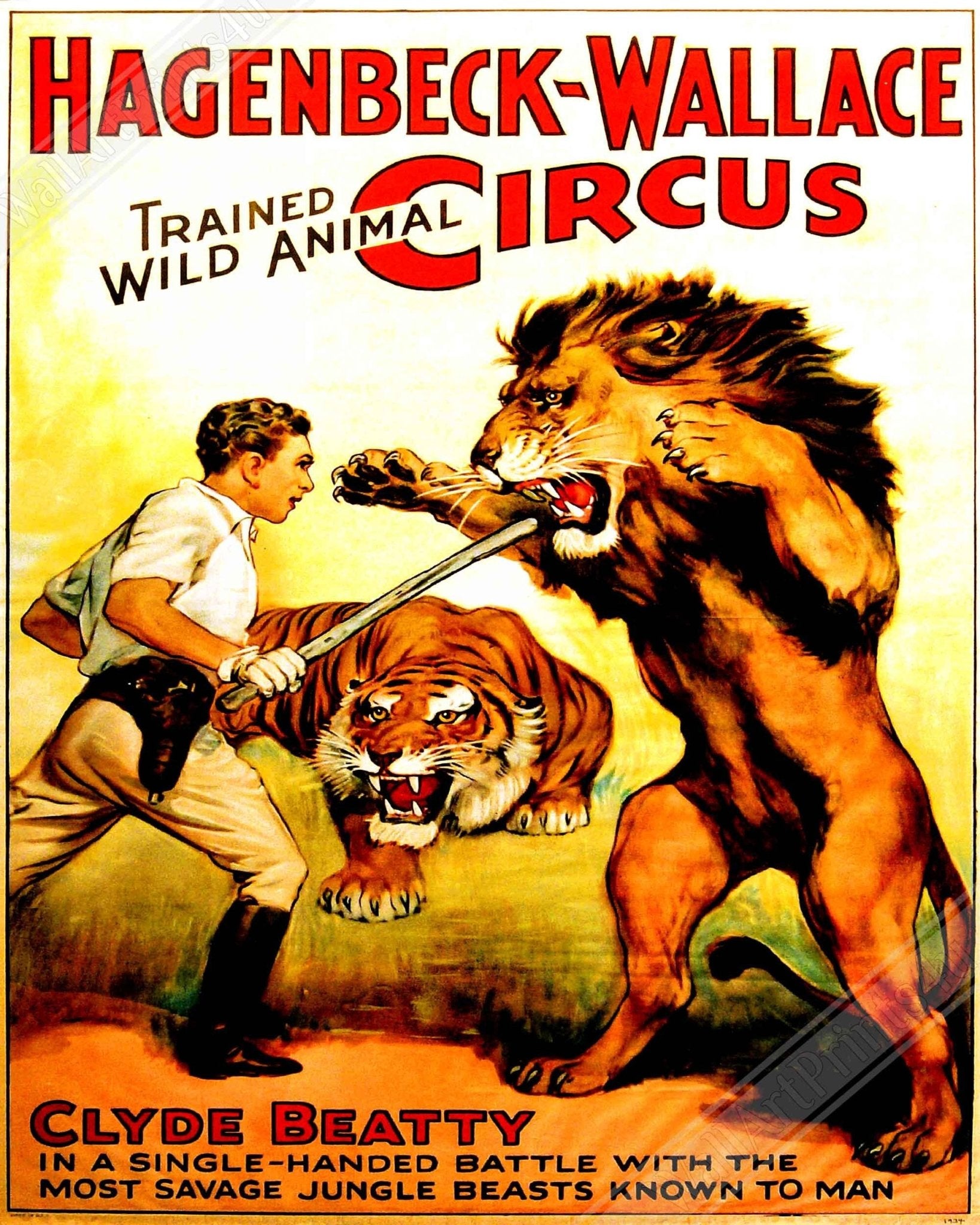 Vintage Circus Poster, Trained Lion Circus, Clyde Beatty, Hagenbeck Wallace, Circa 1934. - WallArtPrints4U