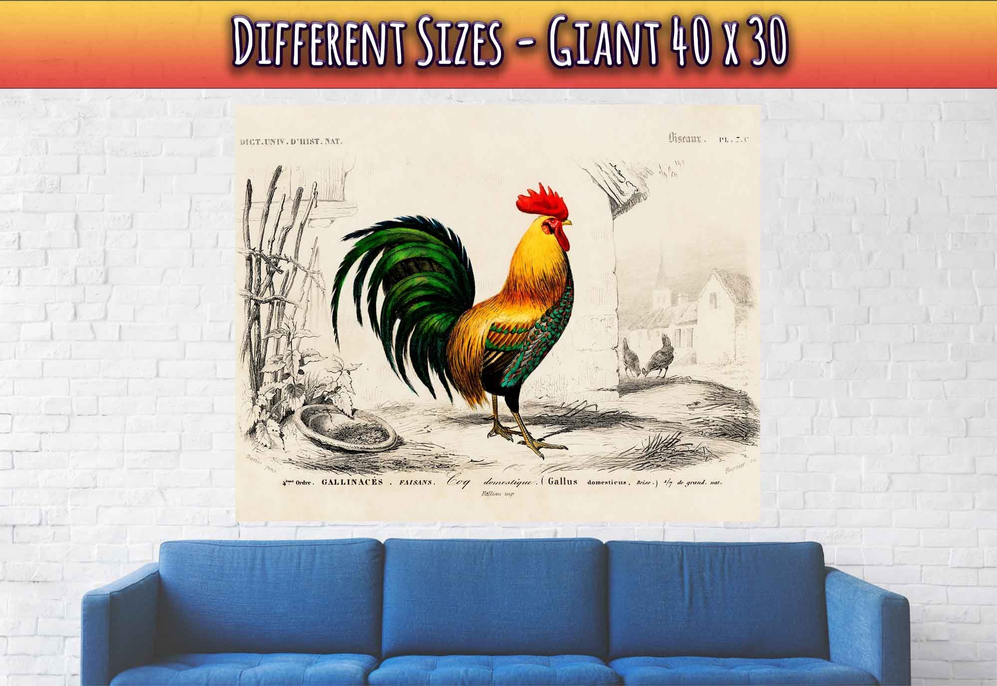 Vintage Cock Poster, Charles Dessalines, Vintage Cockerel Art - Vintage Cockerel Print - WallArtPrints4U