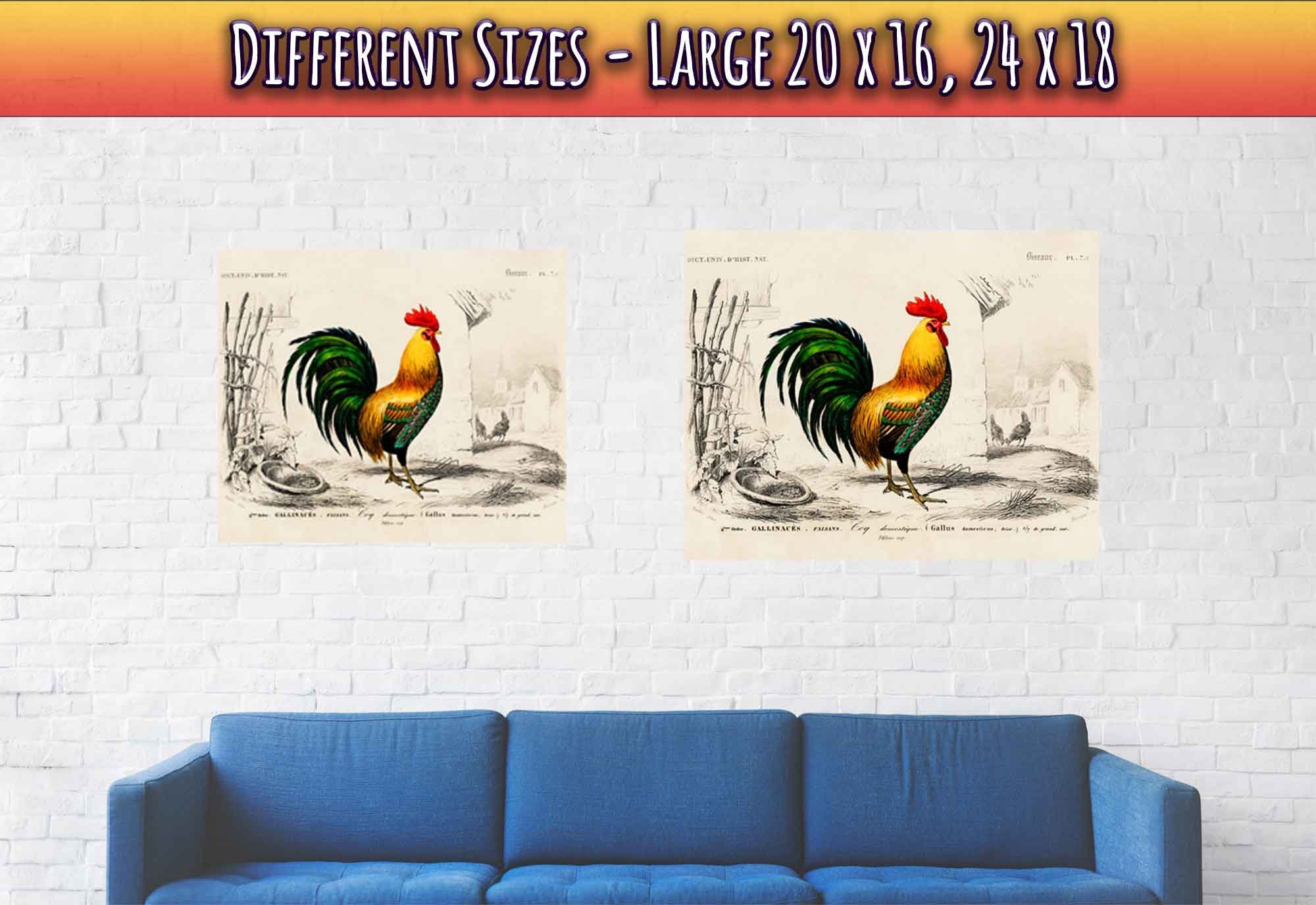 Vintage Cock Poster, Charles Dessalines, Vintage Cockerel Art - Vintage Cockerel Print - WallArtPrints4U