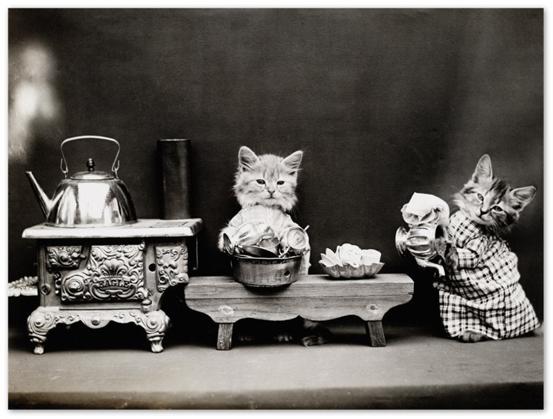 Vintage Cute Cat Poster Print Kitten Washing Dishes - Cute Kitten Print - Vintage Cat Kitten Poster - WallArtPrints4U
