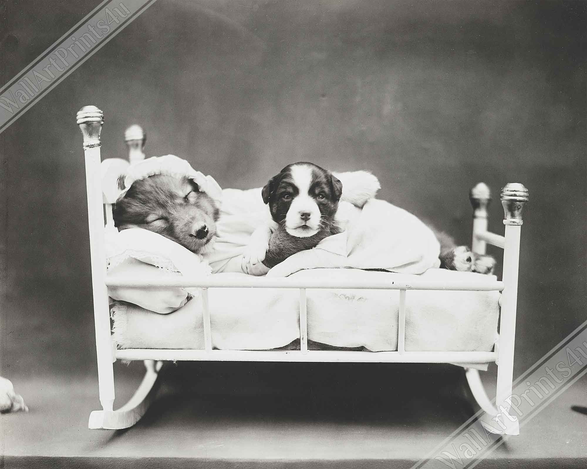 Vintage Cute Dog Canvas Print Bedtime Puppy - Cute Puppy Canvas Print - Vintage Dog Puppy Canvas - WallArtPrints4U