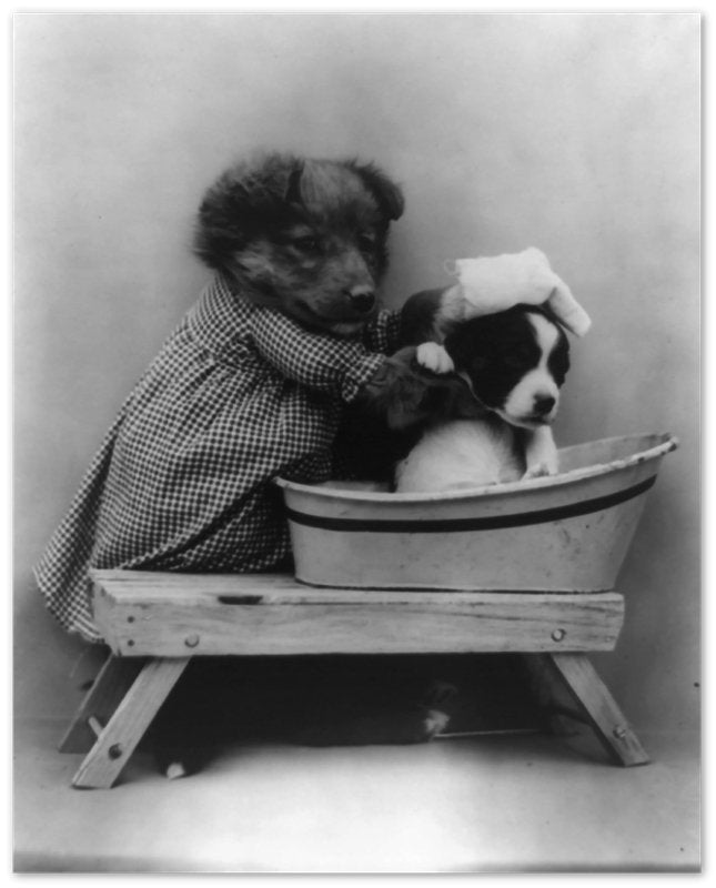 Vintage Cute Dog Poster Print Bath Time Puppy - Cute Bathroom Puppy Print - Vintage Dog Puppy Poster - WallArtPrints4U