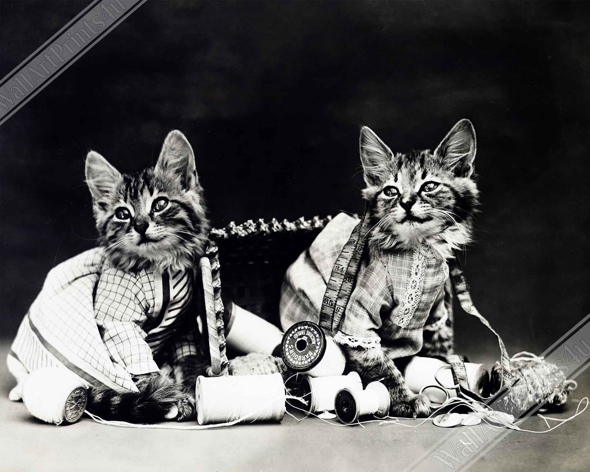 Vintage Cute Kitten Framed Mischief Makers - Cute Kitten Cat Framed Print - Vintage Cat Kitten Framed - WallArtPrints4U