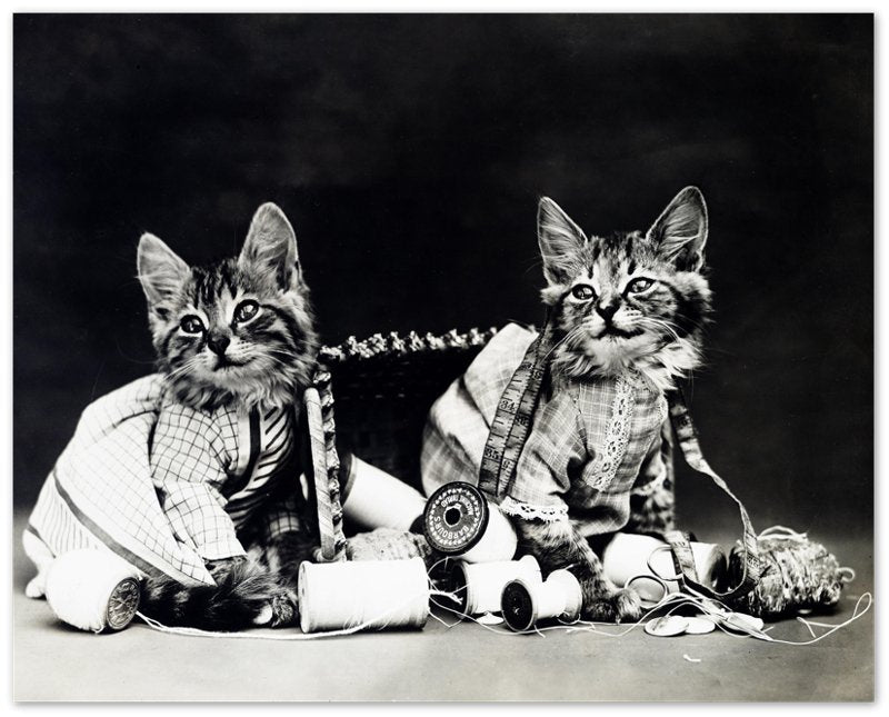 Vintage Cute Kitten Poster Mischief Makers - Cute Kitten Cat Print - Vintage Cat Kitten Poster - WallArtPrints4U