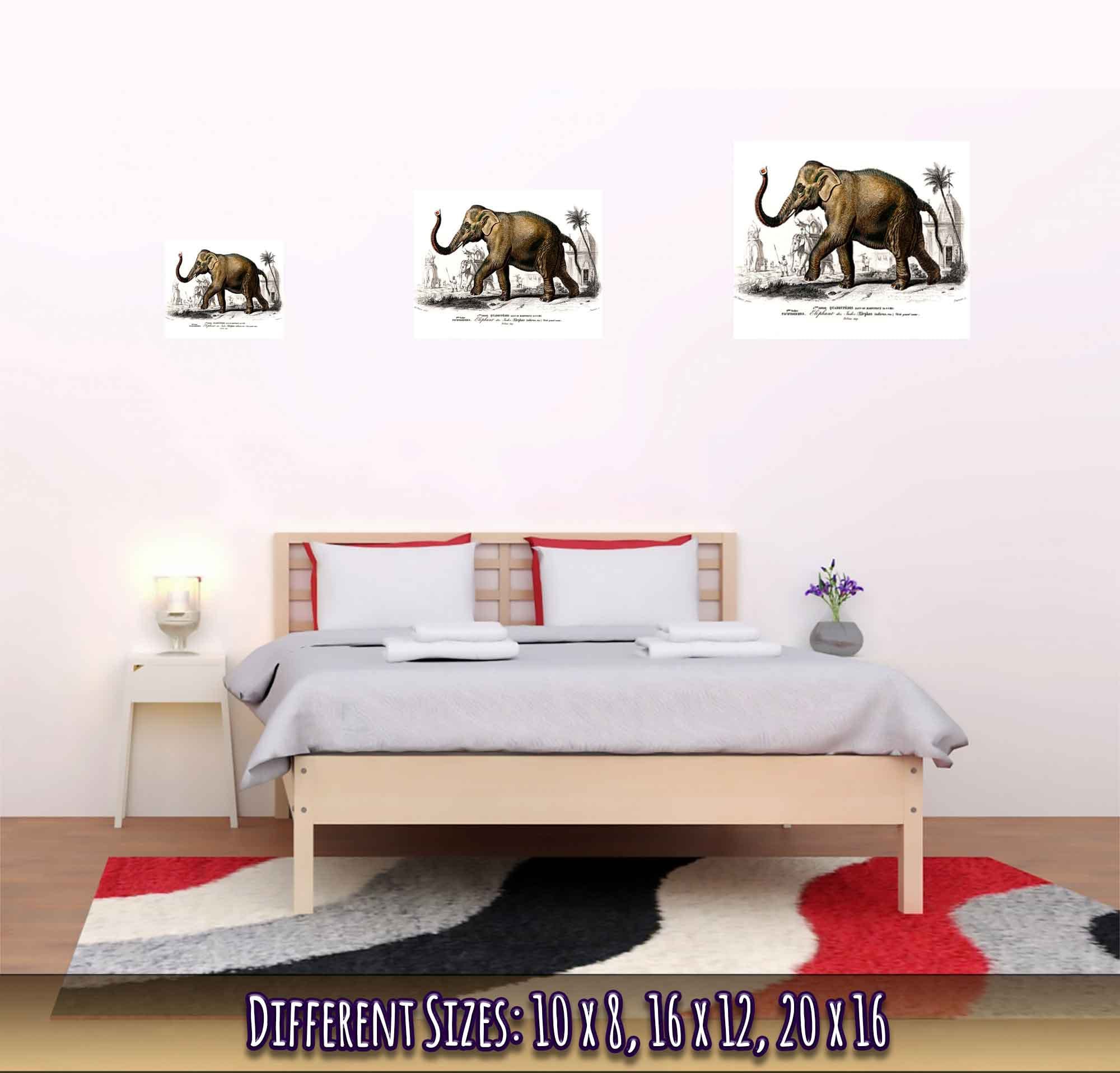 Vintage Elephant Poster, Charles Dessalines, Vintage Asiatic Elephant Art - Vintage Elephant Print - WallArtPrints4U