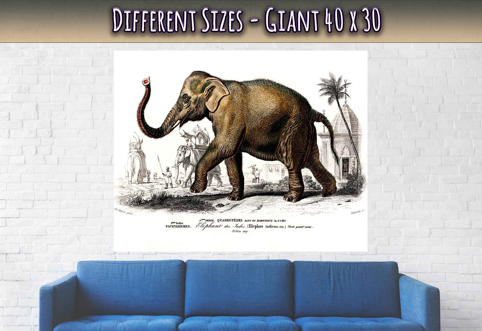 Vintage Elephant Poster, Charles Dessalines, Vintage Asiatic Elephant Art - Vintage Elephant Print - WallArtPrints4U