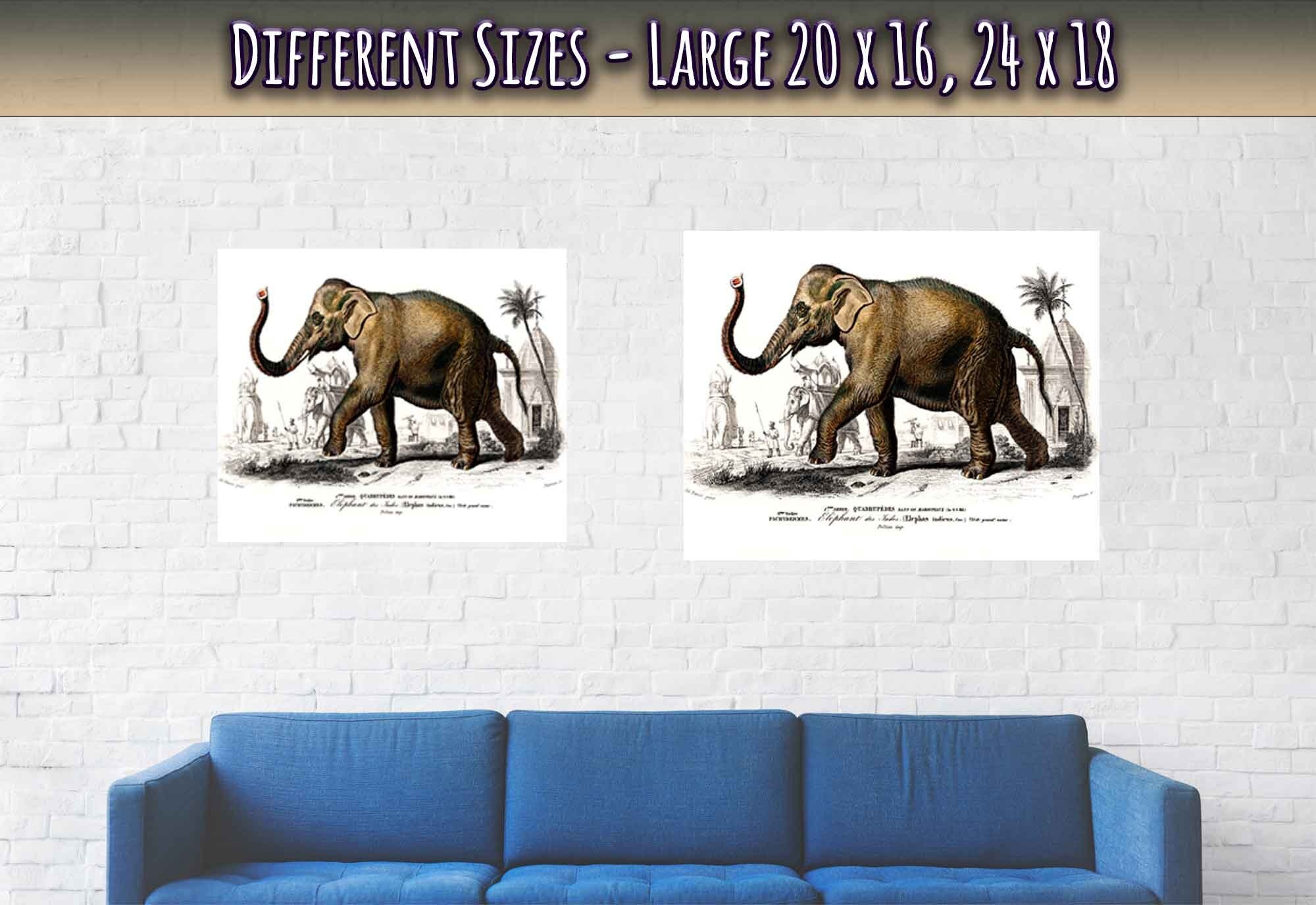 Vintage Elephant Poster, Charles Dessalines, Vintage Asiatic Elephant Art - Vintage Elephant Print - WallArtPrints4U