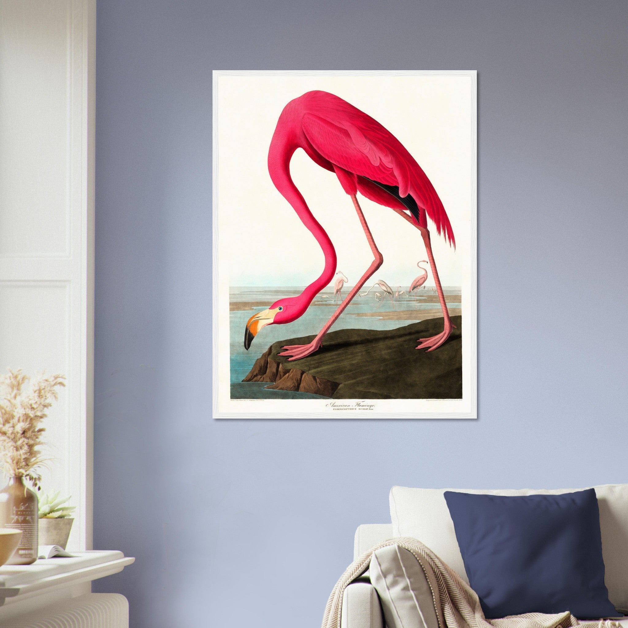 Vintage Flamingo Framed, John Audubon, Vintage Texian Flamingo Art - Vintage Flamingo Framed Print UK, EU USA Domestic Shipping - WallArtPrints4U