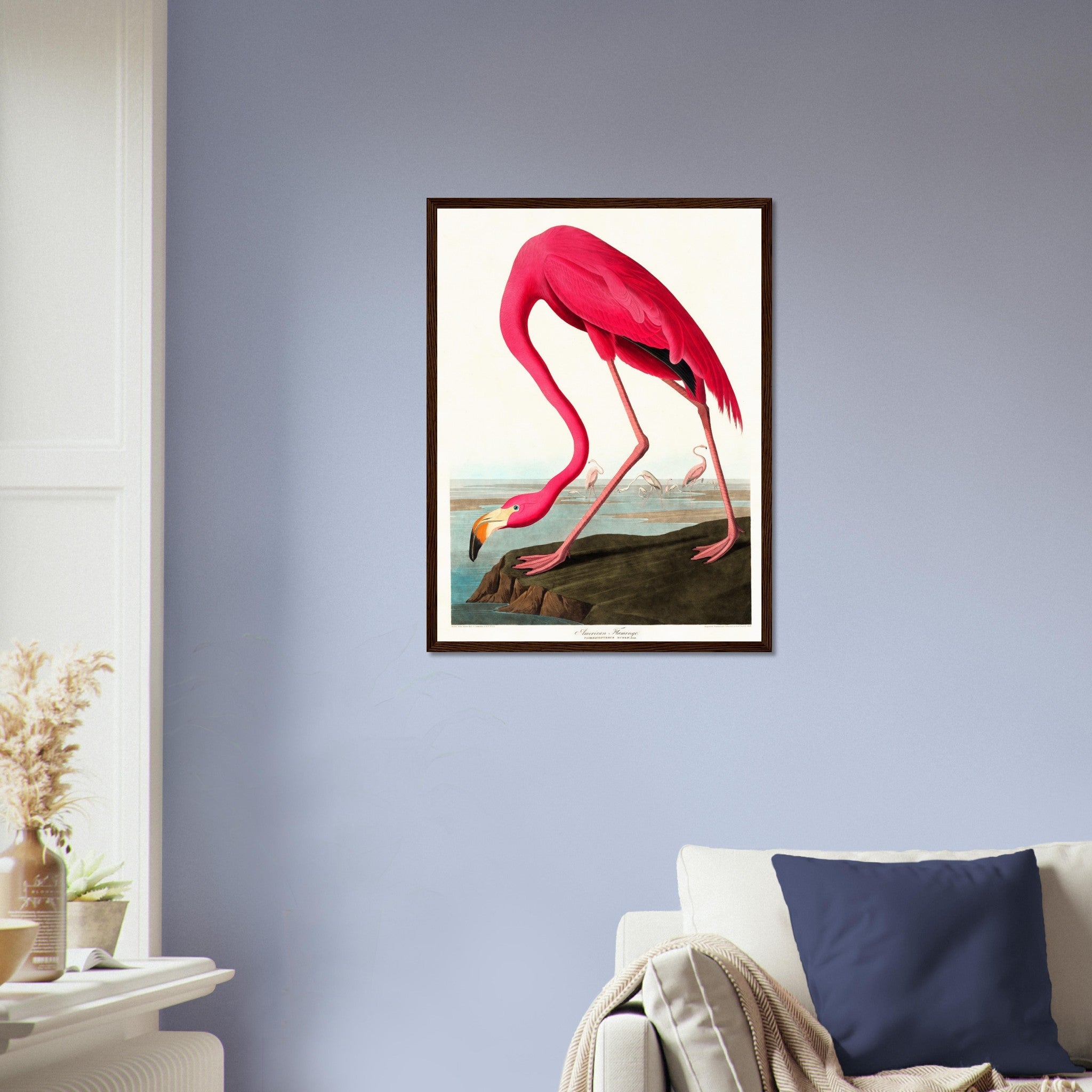 Vintage Flamingo Framed, John Audubon, Vintage Texian Flamingo Art - Vintage Flamingo Framed Print UK, EU USA Domestic Shipping - WallArtPrints4U