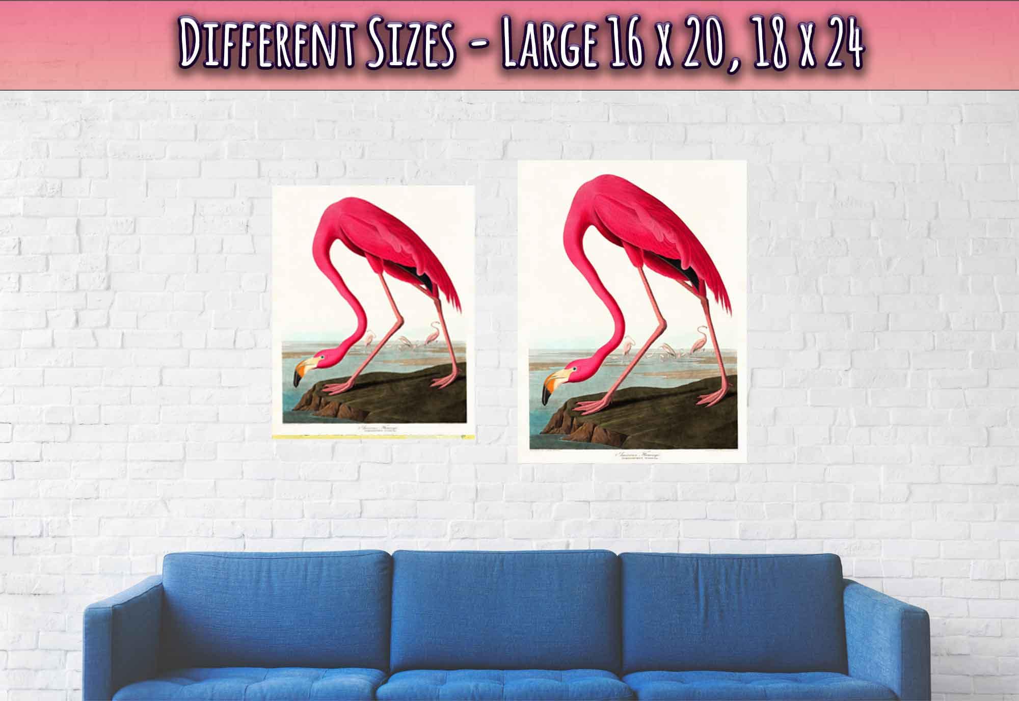 Vintage Flamingo Poster, John Audubon, Vintage Texian Flamingo Art - Vintage Flamingo Print - WallArtPrints4U