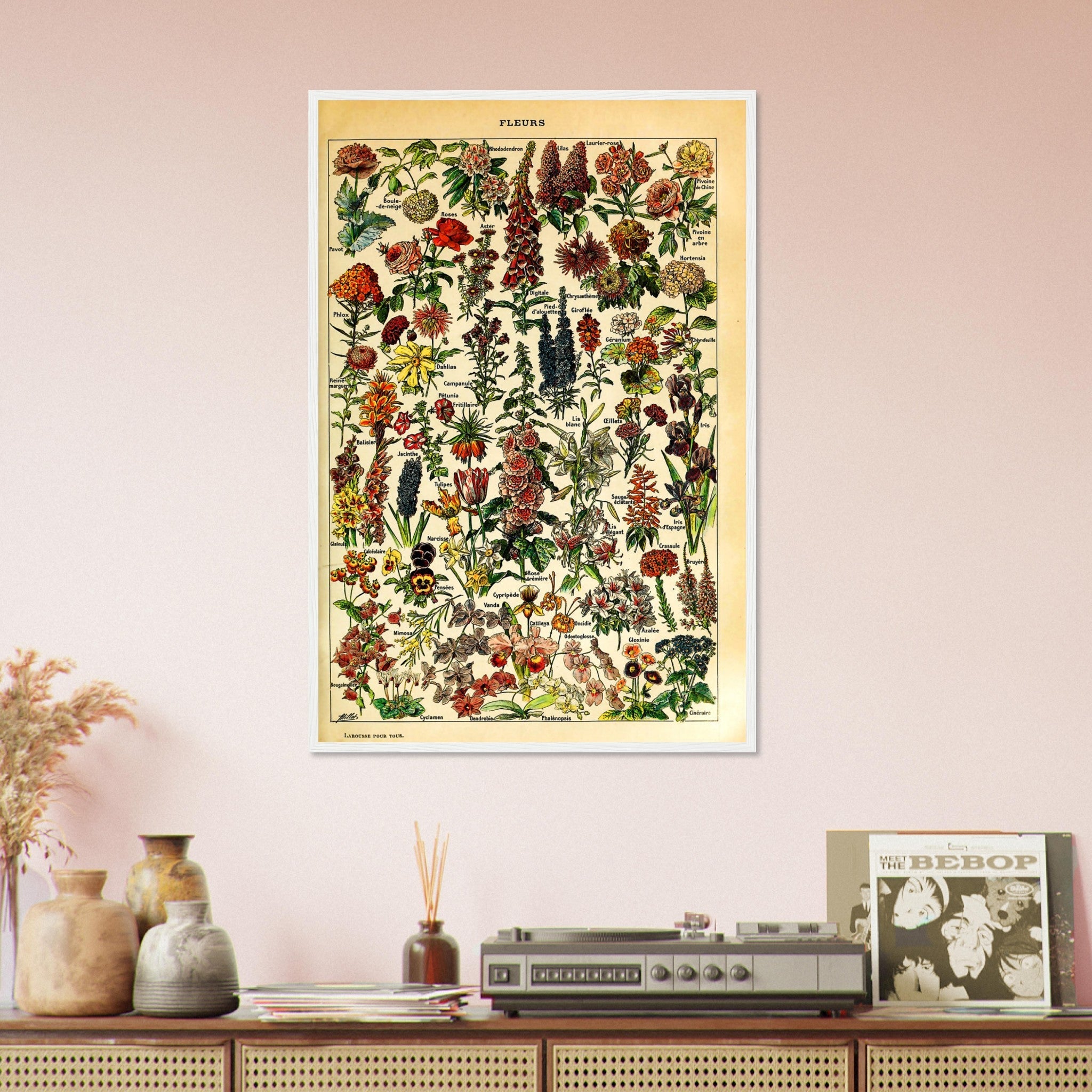 Vintage Flower Framed - Fleurs Adolphe Millot - Fleurs Pour Tous Framed Print - WallArtPrints4U
