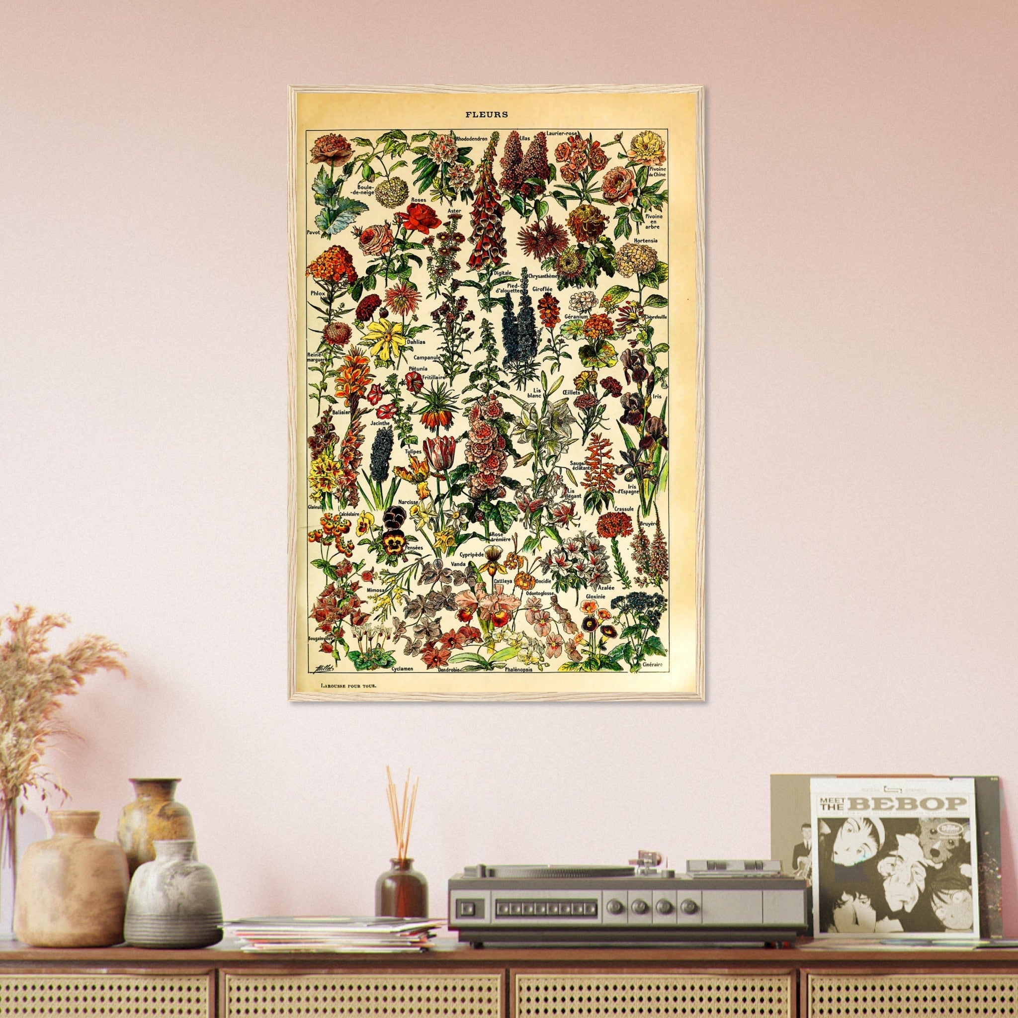Vintage Flower Framed - Fleurs Adolphe Millot - Fleurs Pour Tous Framed Print - WallArtPrints4U