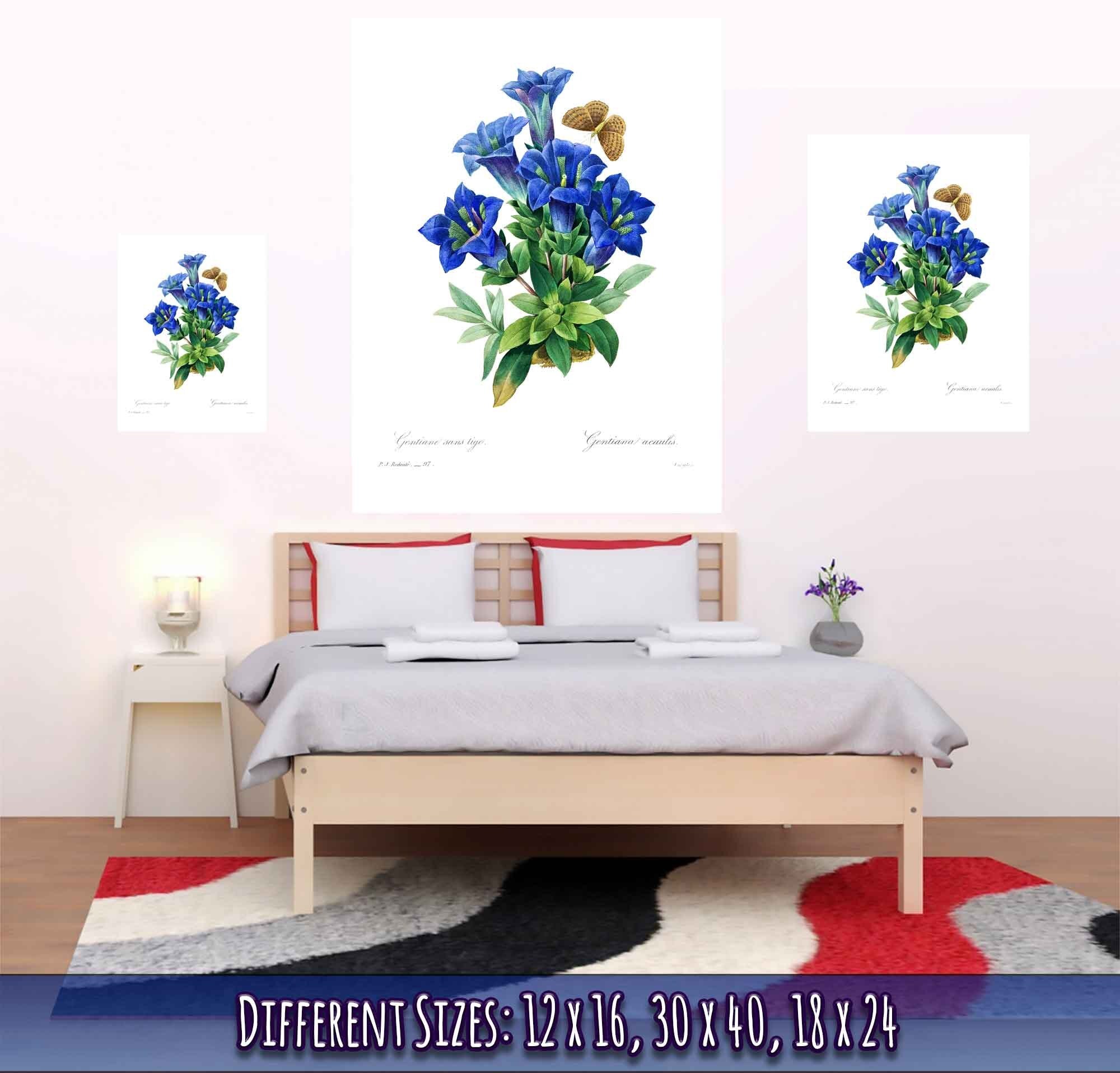 Vintage Gentiana Blue Flower Poster - Botanical Blue Flower Print - Pierre Joseph Redoute - WallArtPrints4U