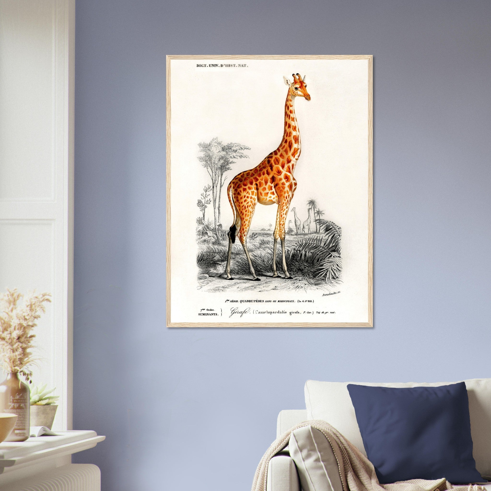 Vintage Giraffe Framed, Charles Dessalines, Vintage Giraffe Art - Vintage Giraffe Framed Print - WallArtPrints4U