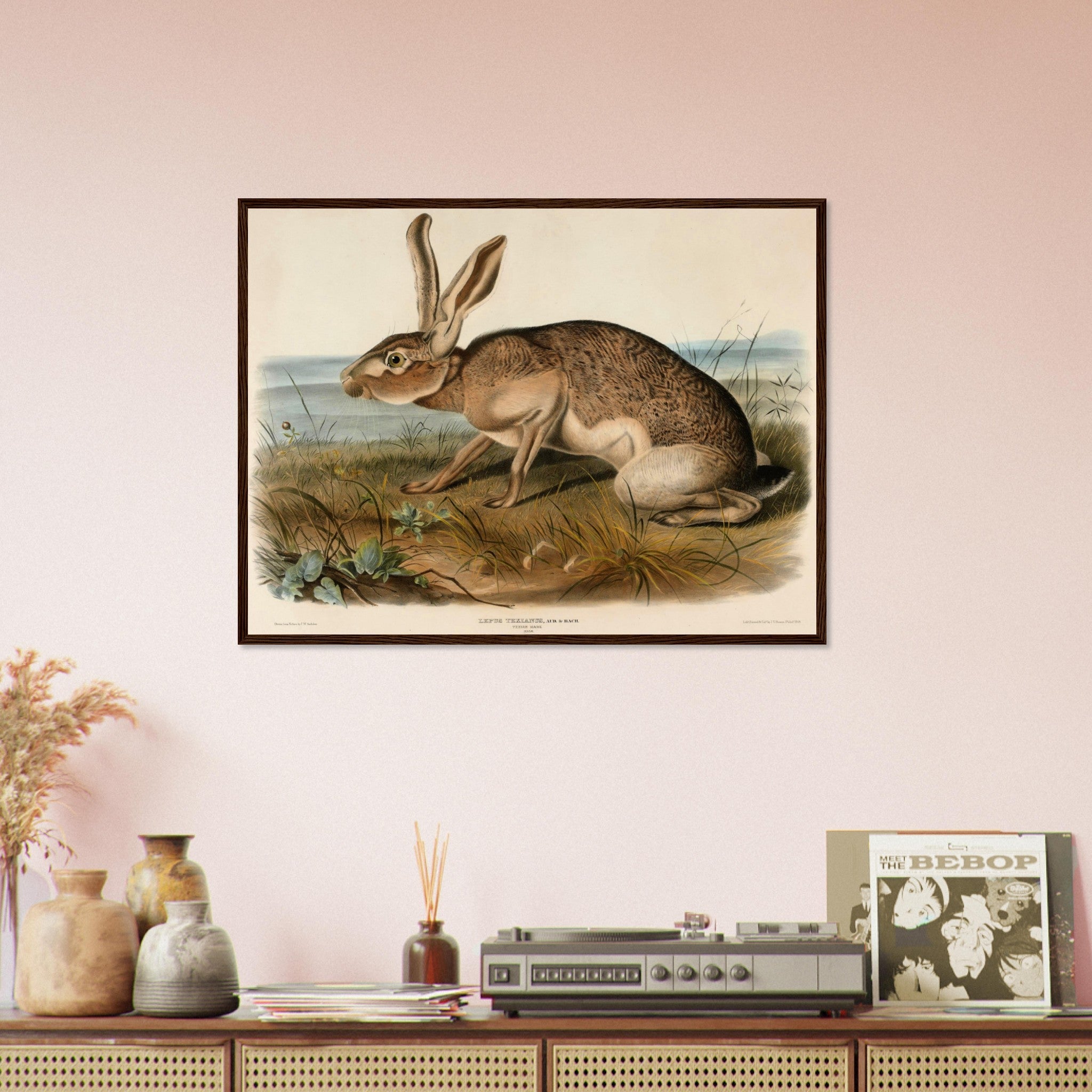 Vintage Hare Framed, John Audubon, Vintage Texian Hare Art - Vintage Hare Framed Print - WallArtPrints4U