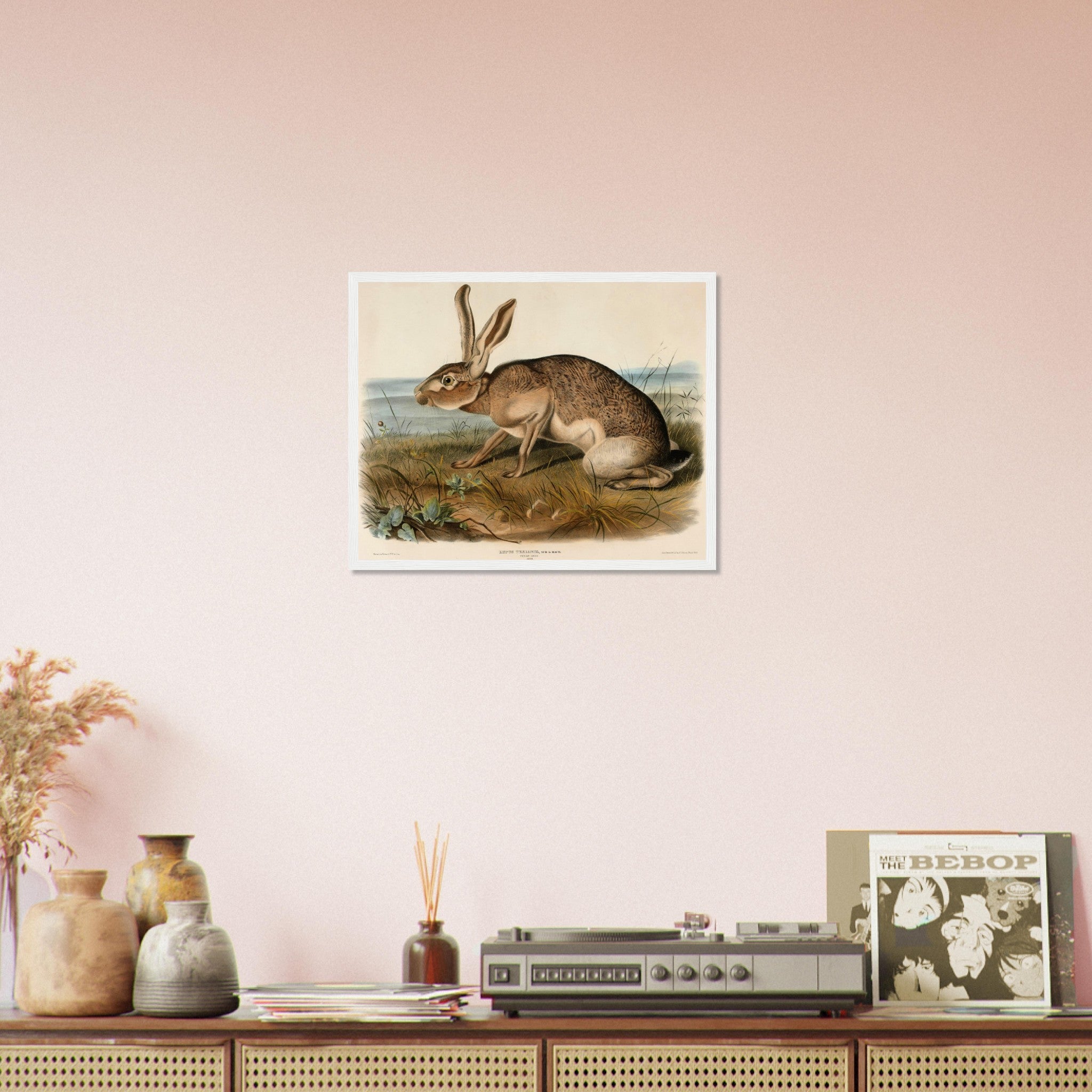 Vintage Hare Framed, John Audubon, Vintage Texian Hare Art - Vintage Hare Framed Print - WallArtPrints4U