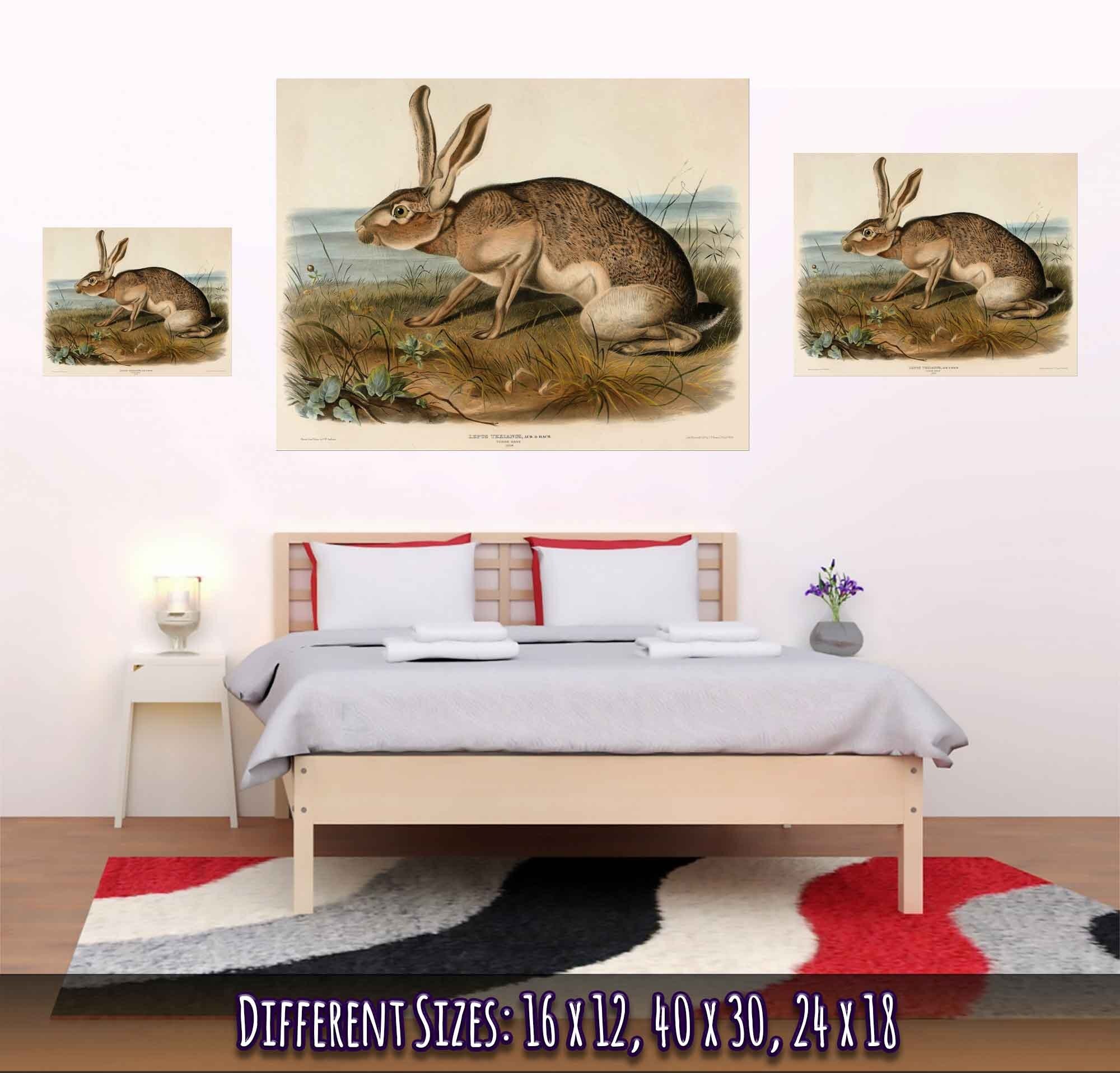 Vintage Hare Poster, John Audubon, Vintage Texian Hare Art - Vintage Hare Print - WallArtPrints4U