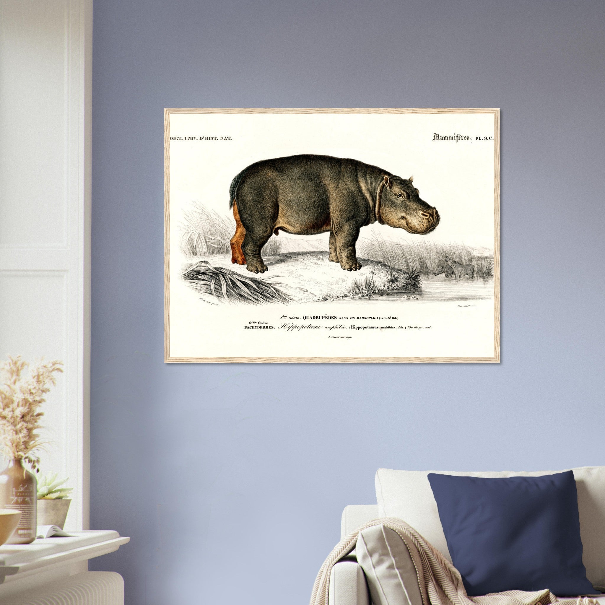 Vintage Hippo Framed, Charles Dessalines, Vintage Hippo Art - Vintage Hippo Framed Print - WallArtPrints4U
