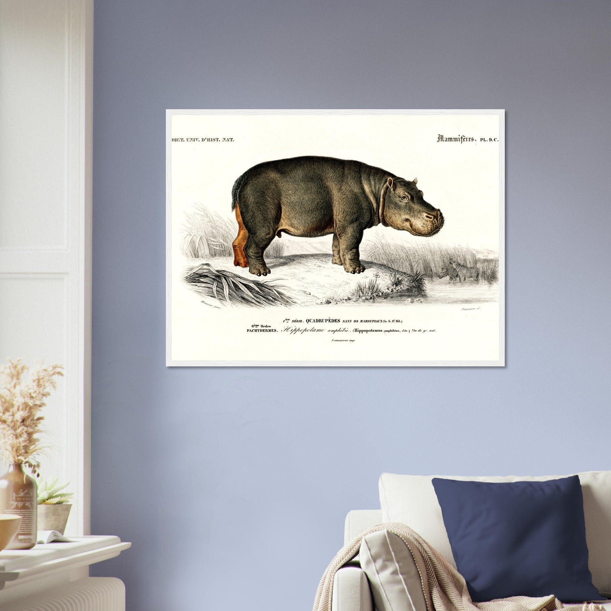 Vintage Hippo Framed, Charles Dessalines, Vintage Hippo Art - Vintage Hippo Framed Print - WallArtPrints4U