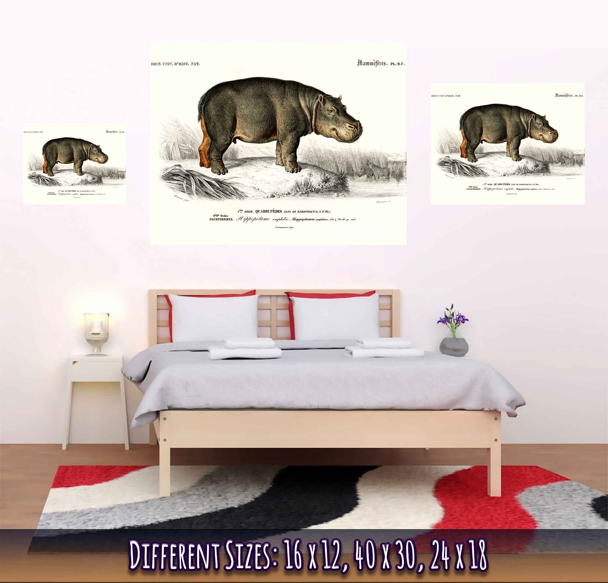 Vintage Hippo Poster, Charles Dessalines, Vintage Hippo Art - Vintage Hippo Print - WallArtPrints4U