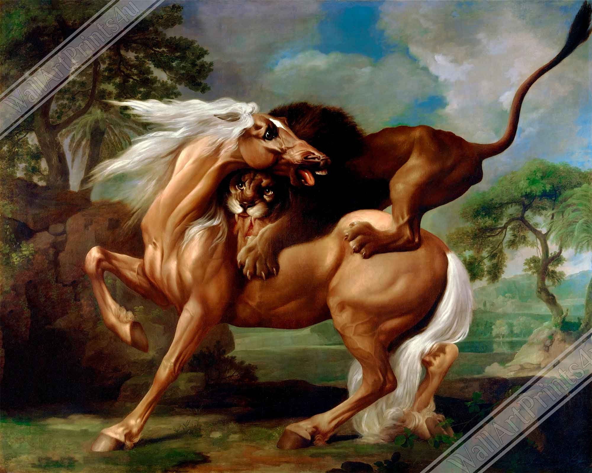 Vintage Lion Attacks Horse Poster, A Lion Attacking A Horse - George Stubbs - WallArtPrints4U