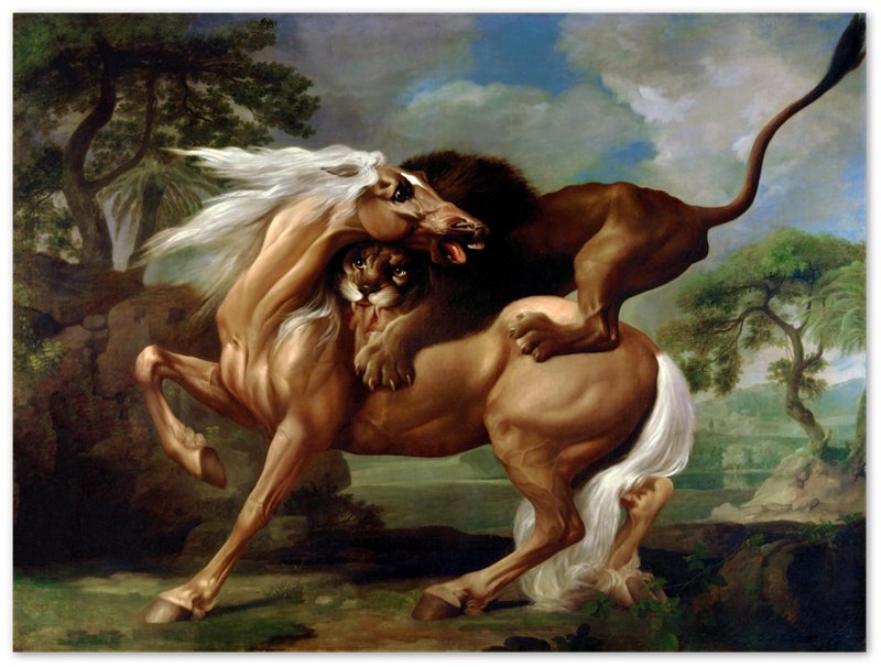 Vintage Lion Attacks Horse Poster, A Lion Attacking A Horse - George Stubbs - WallArtPrints4U