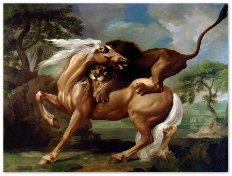 Vintage Lion Attacks Horse Poster, A Lion Attacking A Horse - George Stubbs - WallArtPrints4U
