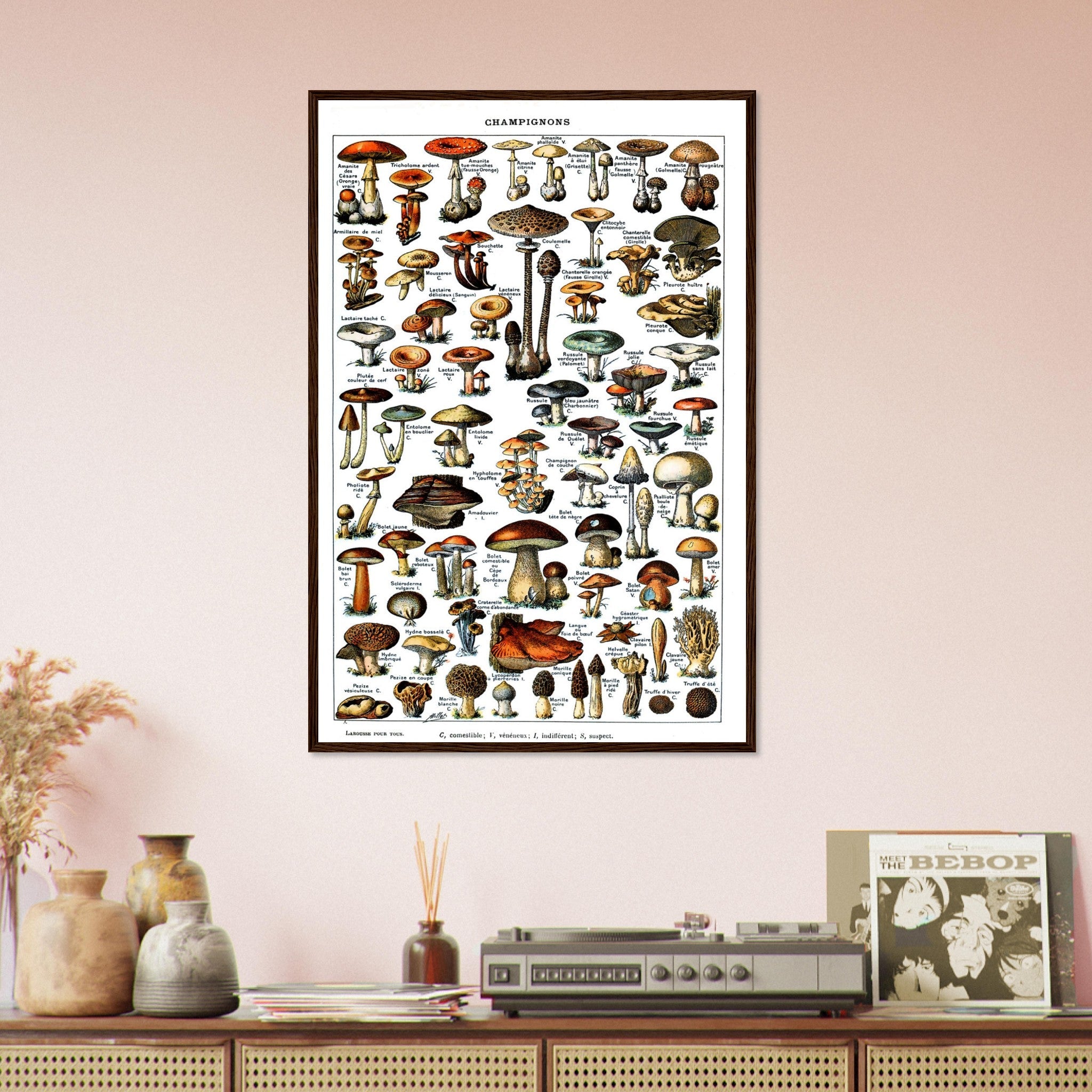 Vintage Mushroom Framed - Adolphe Millot Champignons Pour Tous Framed Print - WallArtPrints4U