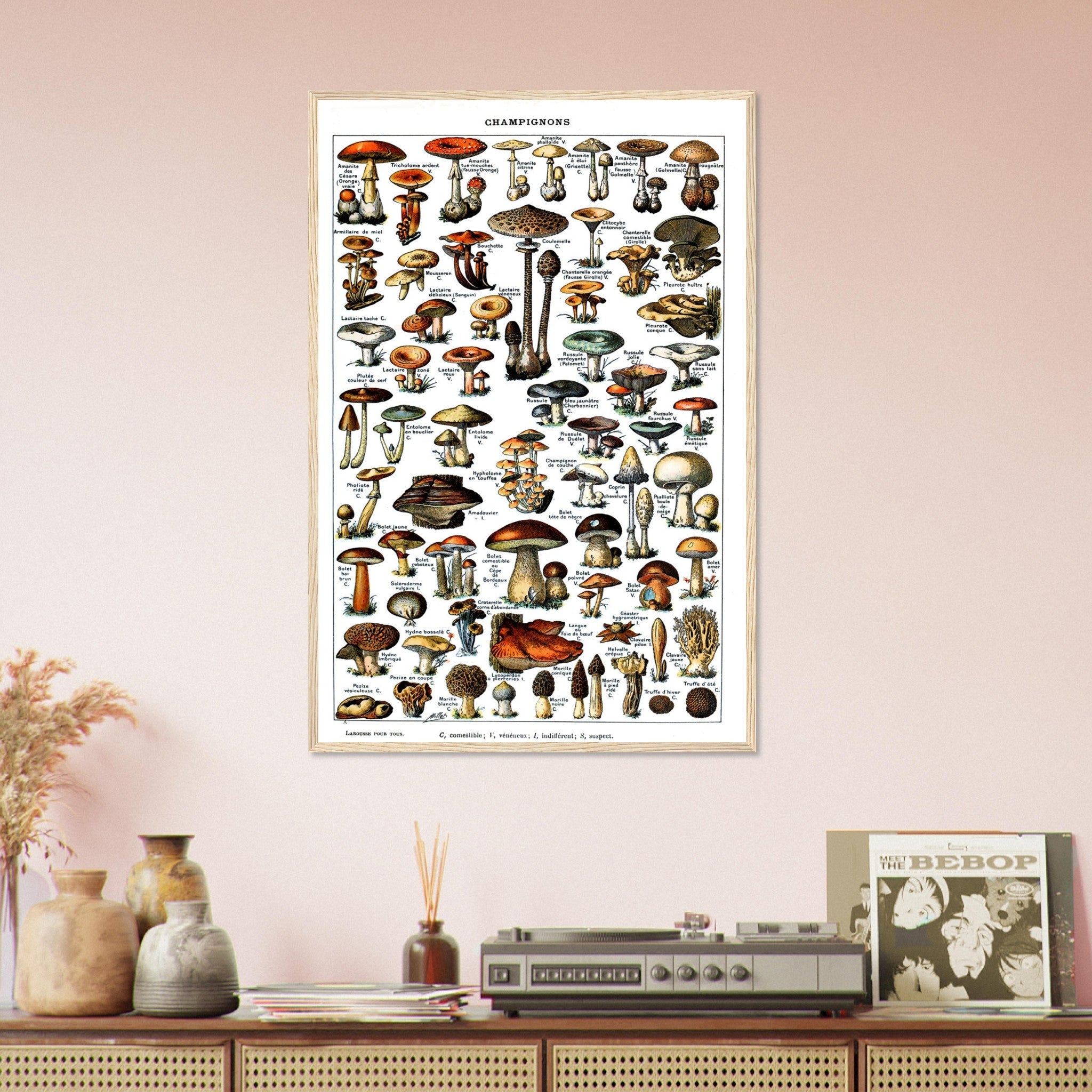 Vintage Mushroom Framed - Adolphe Millot Champignons Pour Tous Framed Print - WallArtPrints4U