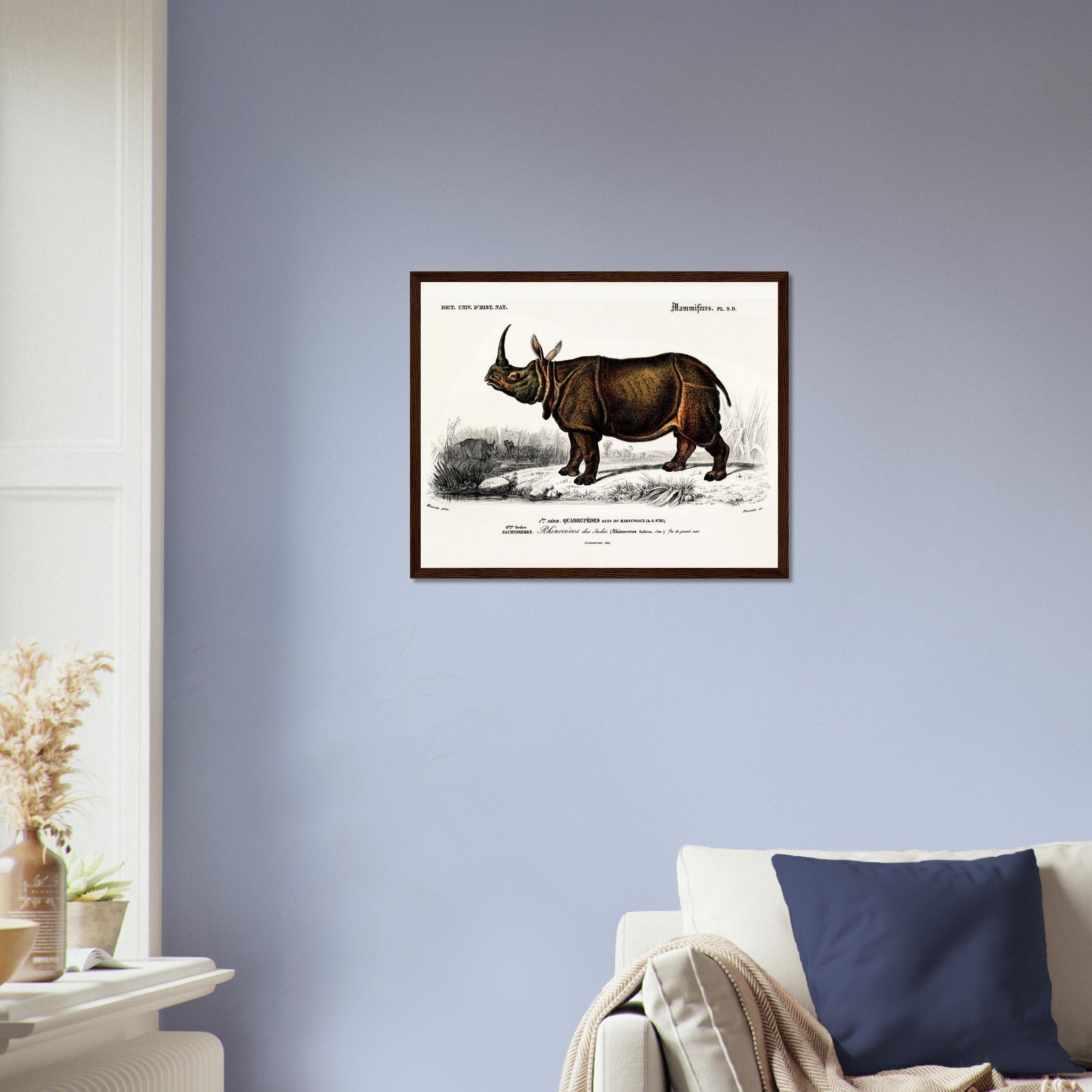Vintage Rhino Framed, Charles Dessalines, Vintage Indian Rhinoceros Art - Vintage Rhino Framed Print - WallArtPrints4U