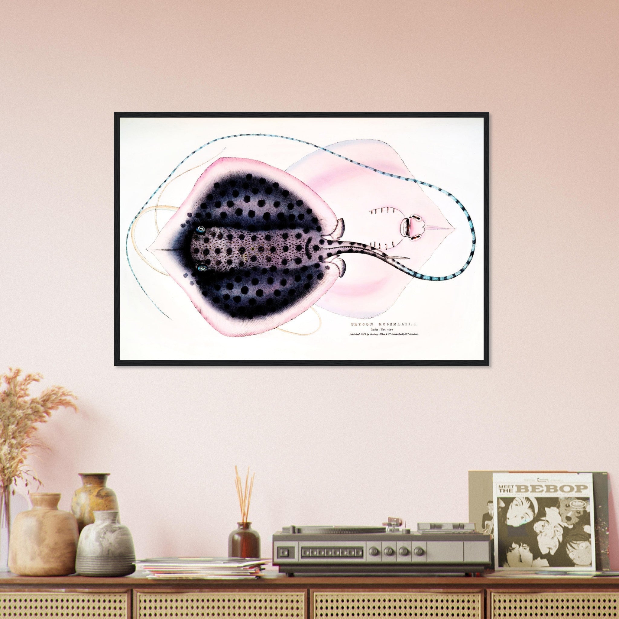 Vintage Stingray Framed Print, John Gray , Vintage Stingray Framed - Stingray Wall Art Framed Print - WallArtPrints4U