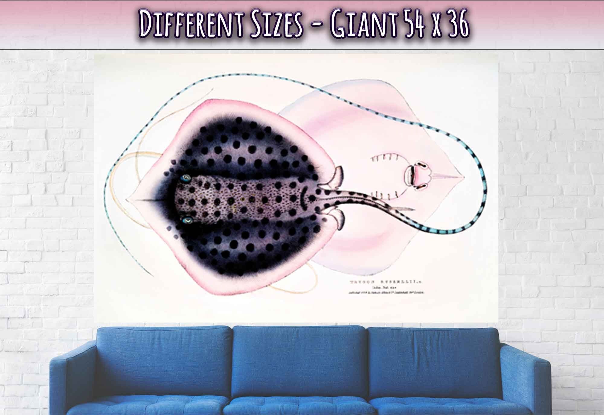 Vintage Stingray Print, John Gray , Vintage Stingray Poster - Stingray Wall Art Print - WallArtPrints4U