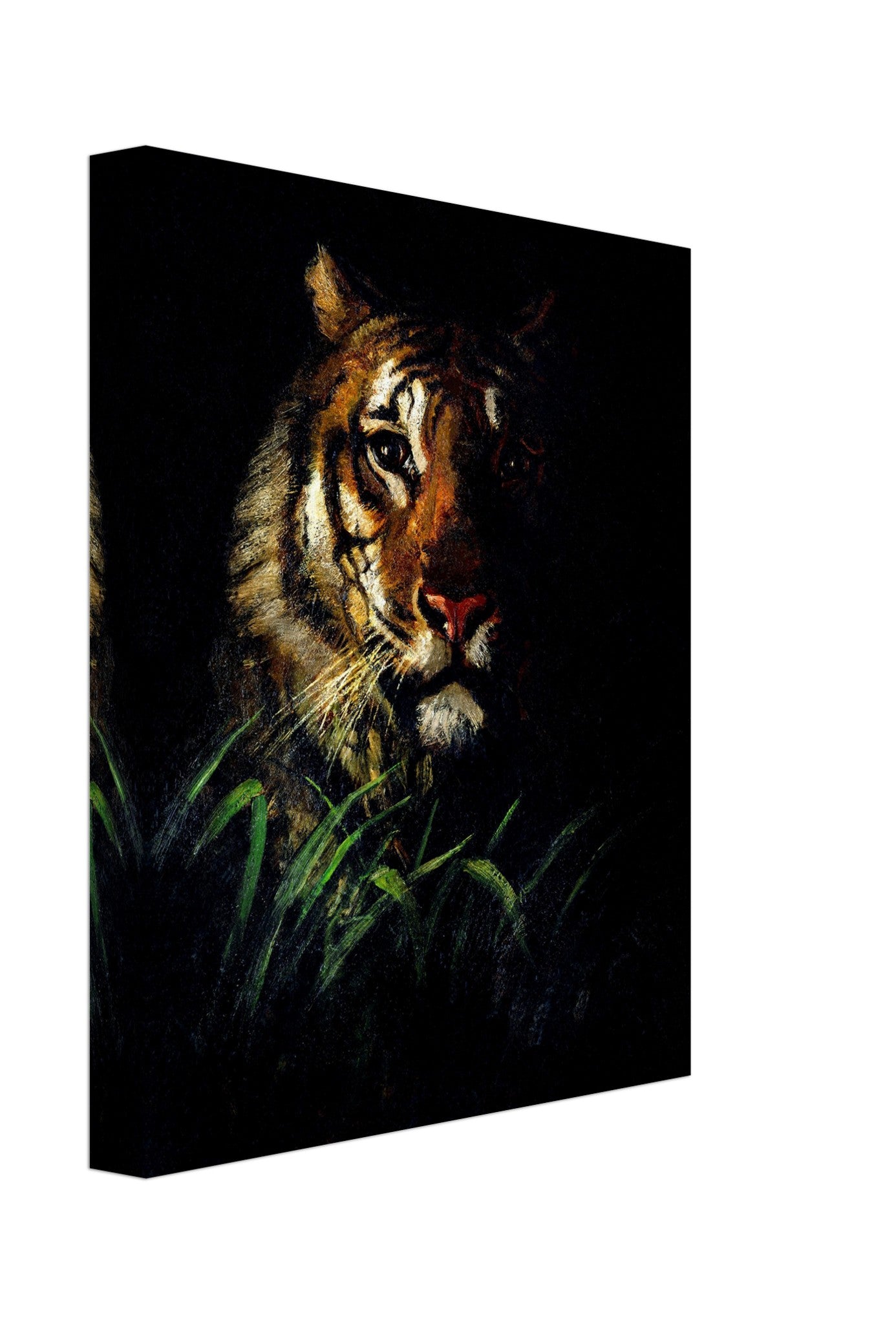 Vintage Tiger Canvas, Tigers Head Abbot Handerson Canvas Print 1900'S - WallArtPrints4U