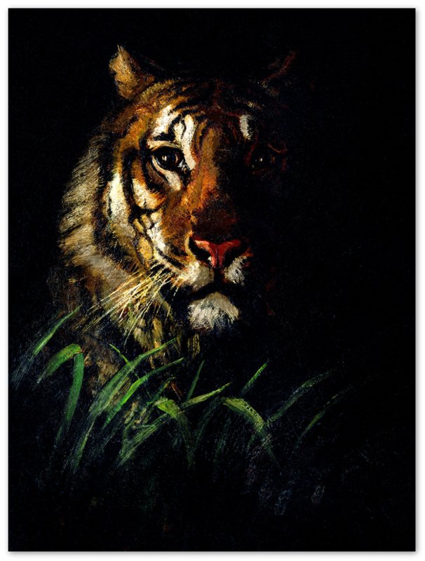 Vintage Tiger Poster, Tigers Head Abbot Handerson Print 1900'S - WallArtPrints4U