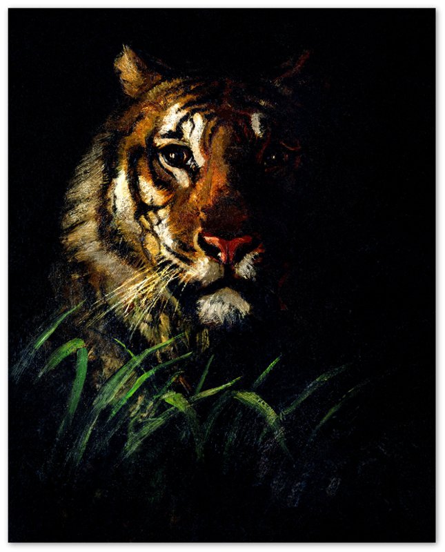 Vintage Tiger Poster, Tigers Head Abbot Handerson Print 1900'S - WallArtPrints4U