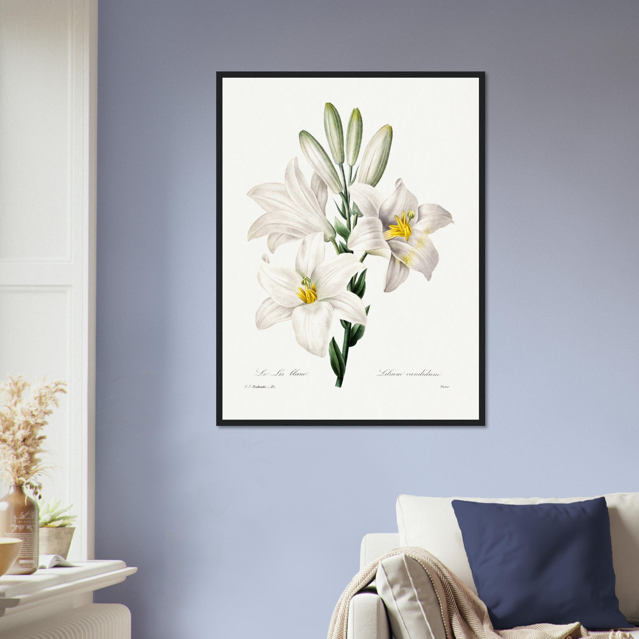 white lily wall art Vintage White Lily Framed - Flower Wall Art