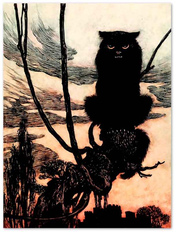 Vintage Witches Cat Poster - Arthur Rackham Witches Cat - Arthur Rackham Print - WallArtPrints4U