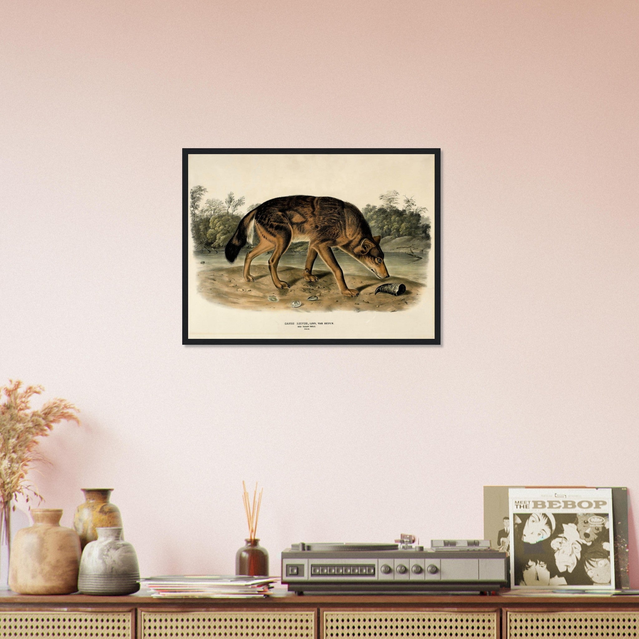 Vintage Wolf Framed, John Woodhouse Audubon, Vintage Wolf Art - Vintage Wolf Framed Print - WallArtPrints4U