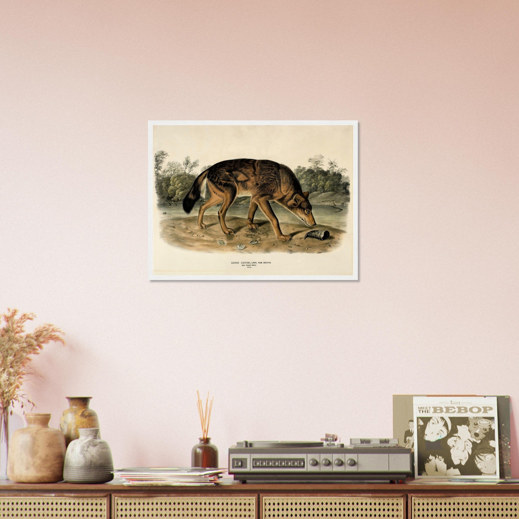 Vintage Wolf Framed, John Woodhouse Audubon, Vintage Wolf Art - Vintage Wolf Framed Print - WallArtPrints4U